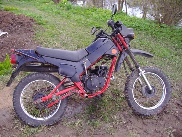 Черный Зид 50 в лесу фото