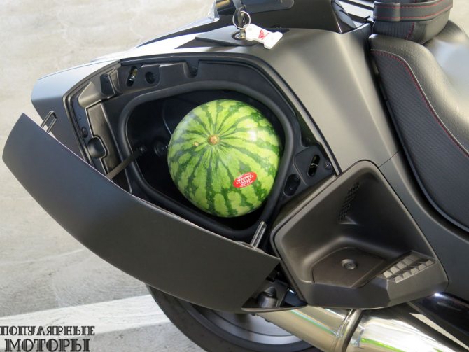 Фото Honda NM4 2015 - арбуз