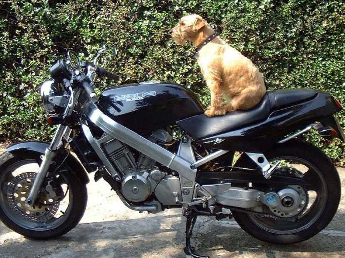 honda bros 650 технические характеристики