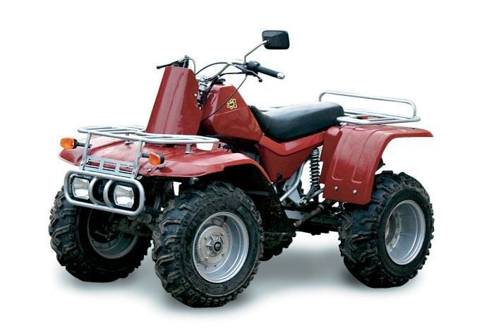 квадроцикл зид 200 красный
