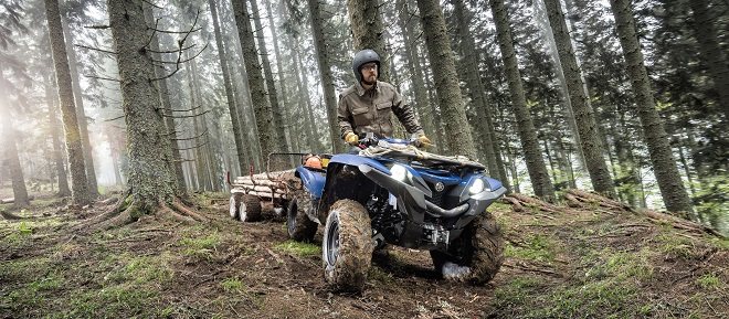 Квадроциклы Гризли