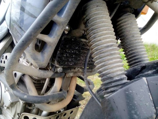 Мотоцикл Honda NX 650 Dominator - достойный туристический эндуро