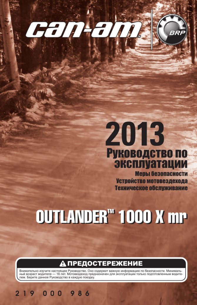 Руководство по эксплуатации Меры безопасности Устройство мот...