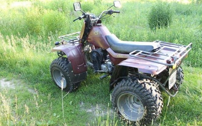 ЗИД Тарпан 200